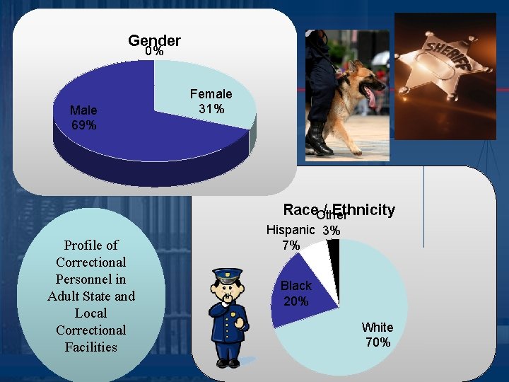 Gender 0% Male 69% Female 31% Race. Other / Ethnicity Profile of Correctional Personnel Gender 0% Male 69% Female 31% Race. Other / Ethnicity Profile of Correctional Personnel