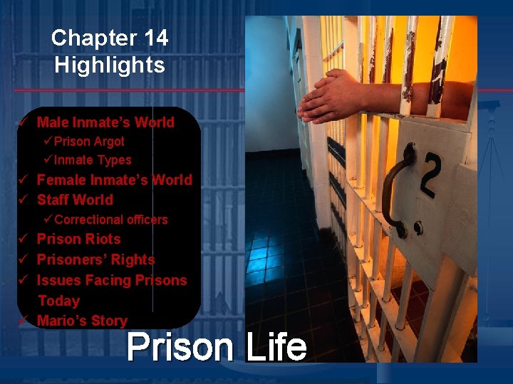 Chapter 14 Highlights ü Male Inmate’s World üPrison Argot üInmate Types ü Female Inmate’s Chapter 14 Highlights ü Male Inmate’s World üPrison Argot üInmate Types ü Female Inmate’s