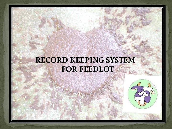 RECORD KEEPING SYSTEM FOR FEEDLOT 