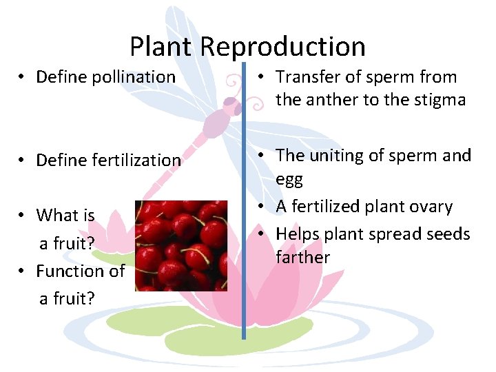 Plant Reproduction • Define pollination • Transfer of sperm from the anther to the
