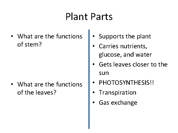 Plant Parts • What are the functions of stem? • What are the functions