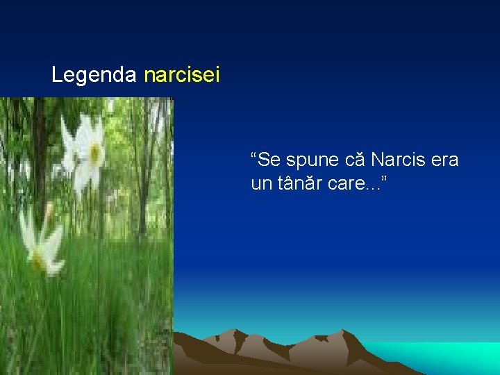 Legenda narcisei “Se spune că Narcis era un tânăr care. . . ” 