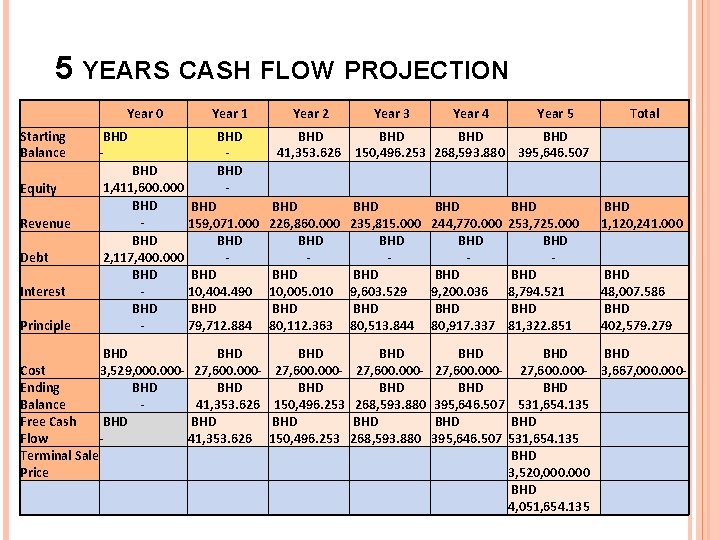 5 YEARS CASH FLOW PROJECTION Year 0 Starting Balance Equity Revenue Debt Interest Principle