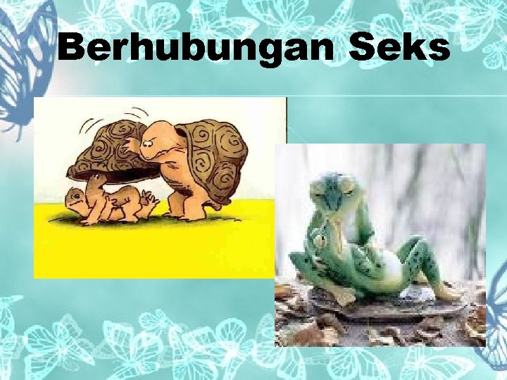 Berhubungan Seks 