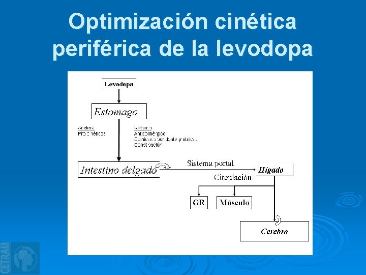 Optimización cinética periférica de la levodopa 