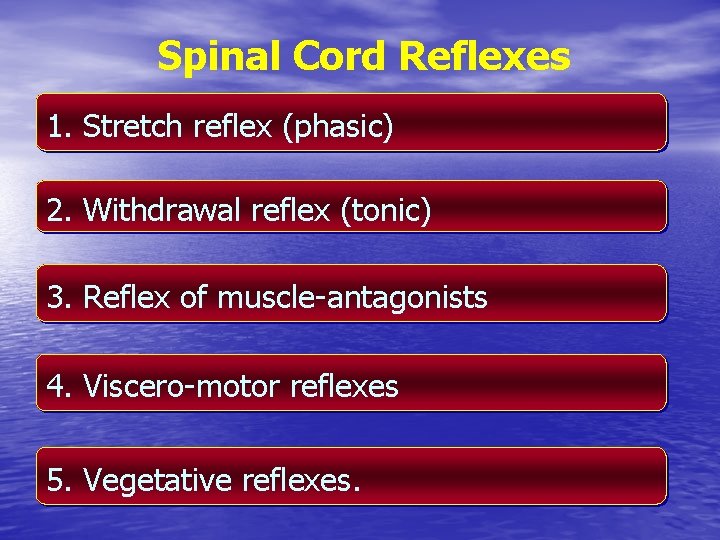 Spinal Cord Reflexes 1. Stretch reflex (phasic) 2. Withdrawal reflex (tonic) 3. Reflex of