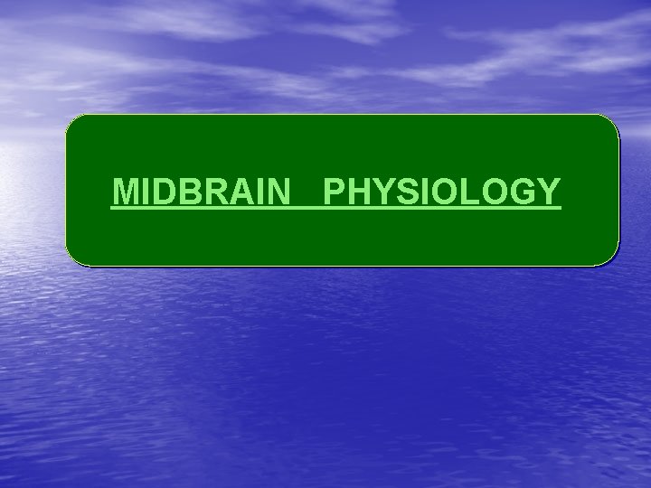 MIDBRAIN PHYSIOLOGY 