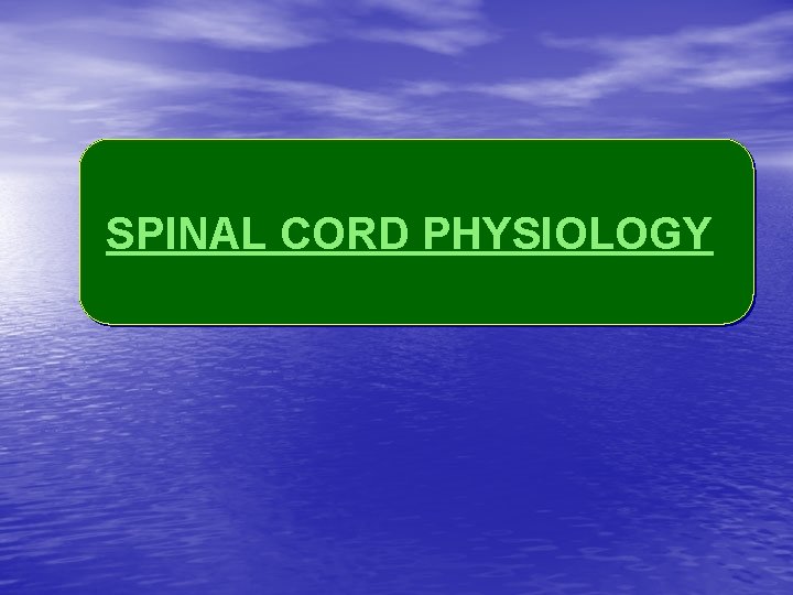 SPINAL CORD PHYSIOLOGY 