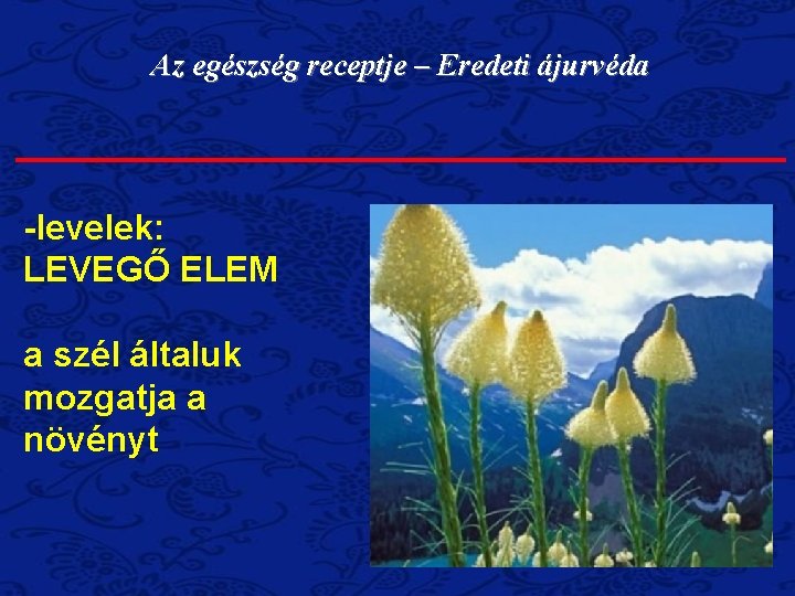 Az egészség receptje – Eredeti ájurvéda -levelek: LEVEGŐ ELEM a szél általuk mozgatja a