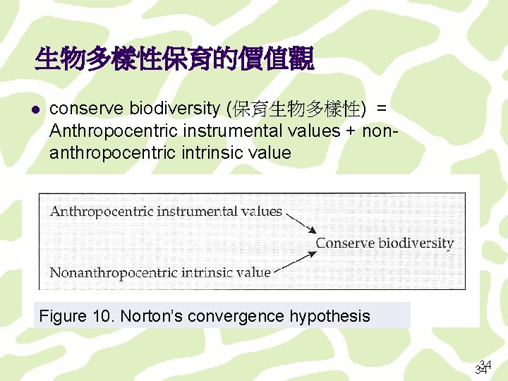 生物多樣性保育的價值觀 l conserve biodiversity (保育生物多樣性) = Anthropocentric instrumental values + nonanthropocentric intrinsic value Figure