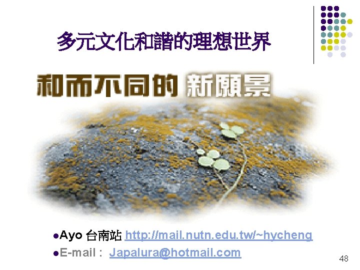 多元文化和諧的理想世界 l. Ayo 台南站 http: //mail. nutn. edu. tw/~hycheng l. E-mail : Japalura@hotmail. com