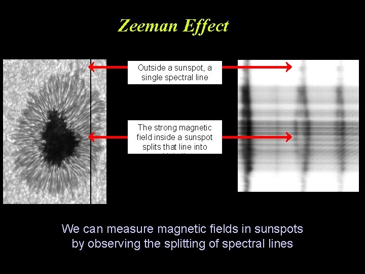 Zeeman Effect Outside a sunspot, a single spectral line The strong magnetic field inside