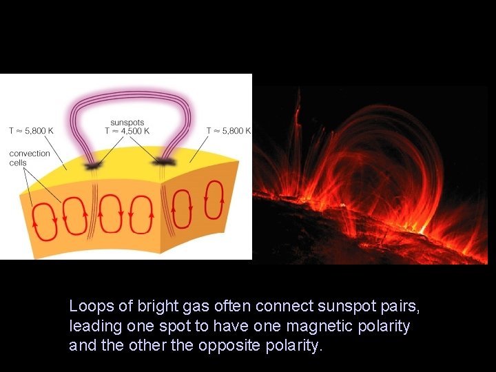Loops of bright gas often connect sunspot pairs, leading one spot to have one
