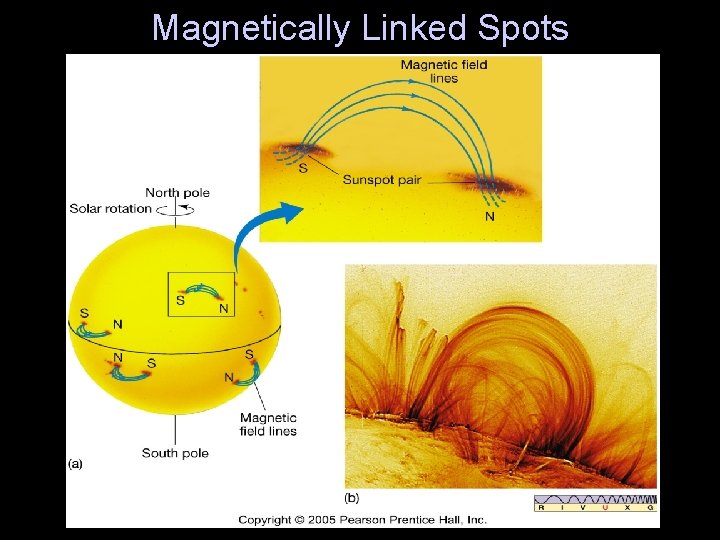 Magnetically Linked Spots 