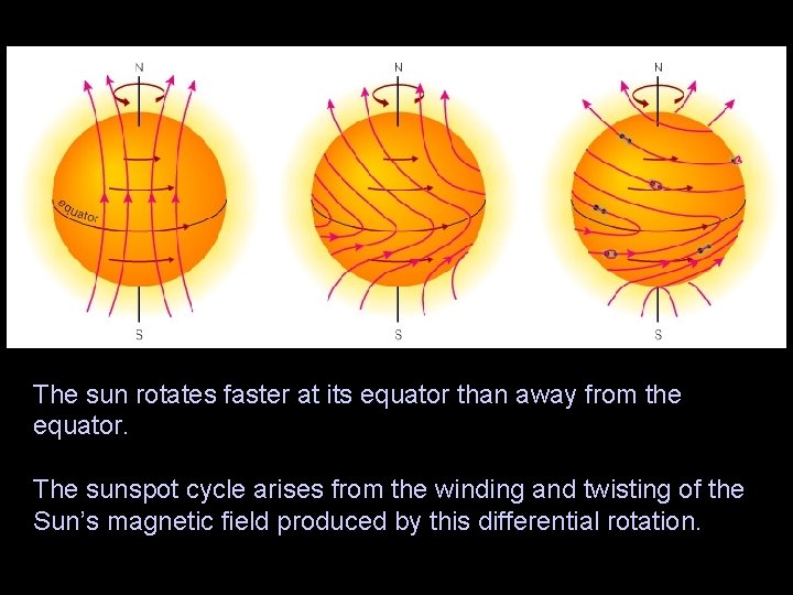 The sun rotates faster at its equator than away from the equator. The sunspot