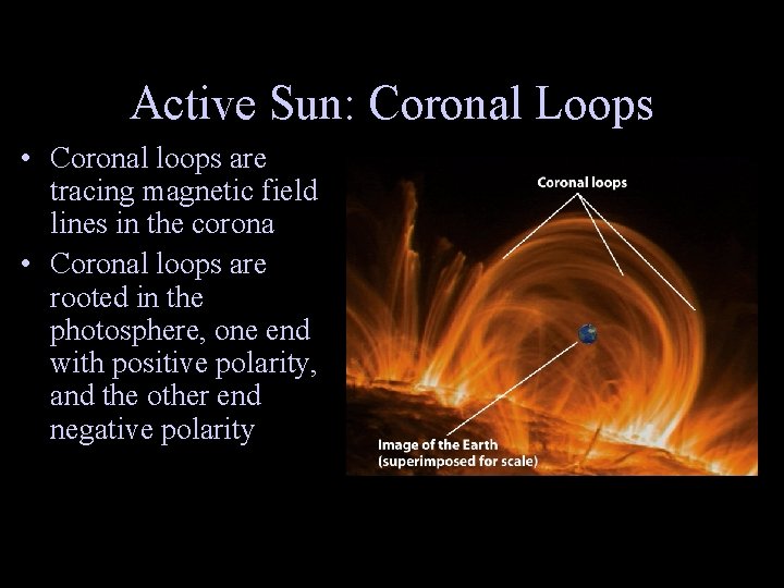 Active Sun: Coronal Loops • Coronal loops are tracing magnetic field lines in the