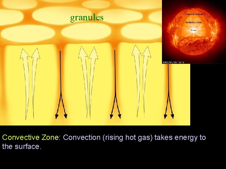 granules Convective Zone: Convection (rising hot gas) takes energy to the surface. 