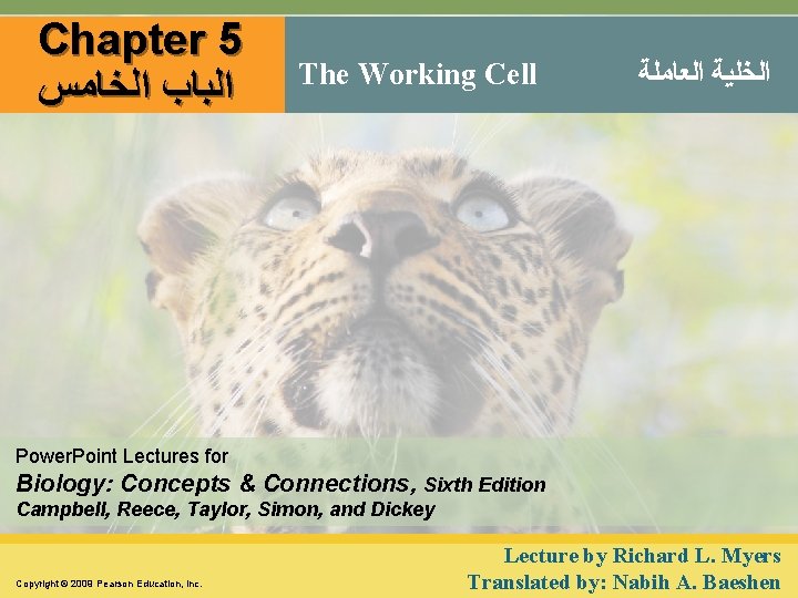 Chapter 5 ﺍﻟﺒﺎﺏ ﺍﻟﺨﺎﻣﺲ The Working Cell ﺍﻟﺨﻠﻴﺔ ﺍﻟﻌﺎﻣﻠﺔ Power. Point Lectures for Biology: