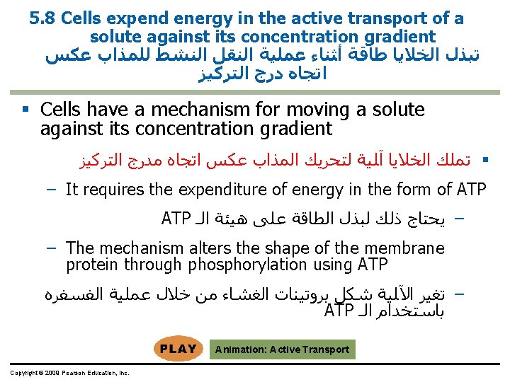 5. 8 Cells expend energy in the active transport of a solute against its