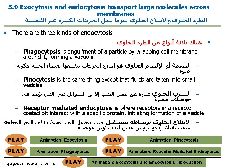 5. 9 Exocytosis and endocytosis transport large molecules across membranes ﺍﻟﻄﺮﺩ ﺍﻟﺨﻠﻮﻱ ﻭﺍﻻﺑﺘﻼﻉ ﺍﻟﺨﻠﻮﻱ