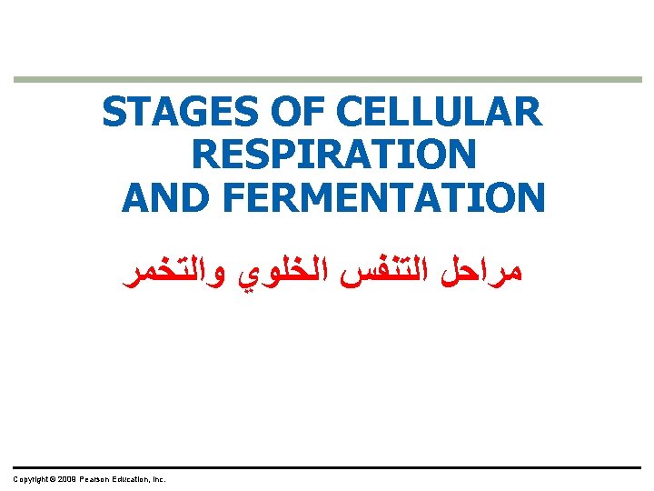 STAGES OF CELLULAR RESPIRATION AND FERMENTATION ﻣﺮﺍﺣﻞ ﺍﻟﺘﻨﻔﺲ ﺍﻟﺨﻠﻮﻱ ﻭﺍﻟﺘﺨﻤﺮ Copyright © 2009 Pearson