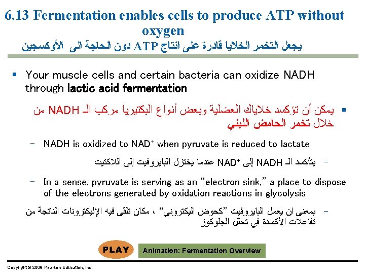 Chapter 5 The Working Cell Power Point Lectures