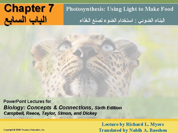 Chapter 7 ﺍﻟﺒﺎﺏ ﺍﻟﺴﺎﺑﻊ Photosynthesis: Using Light to Make Food ﺍﺳﺘﺨﺪﺍﻡ ﺍﻟﻀﻮﺀ ﻟﺼﻨﻊ ﺍﻟﻐﺬﺍﺀ