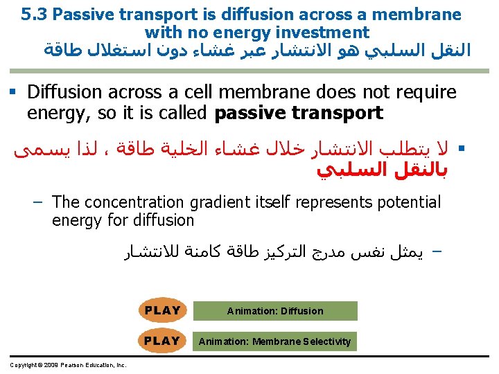 5. 3 Passive transport is diffusion across a membrane with no energy investment ﺍﻟﻨﻘﻞ