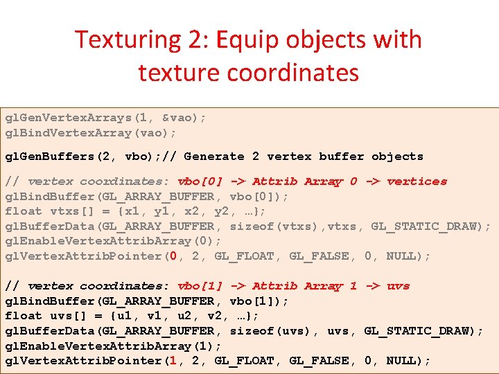 Texturing 2: Equip objects with texture coordinates gl. Gen. Vertex. Arrays(1, &vao); gl. Bind.