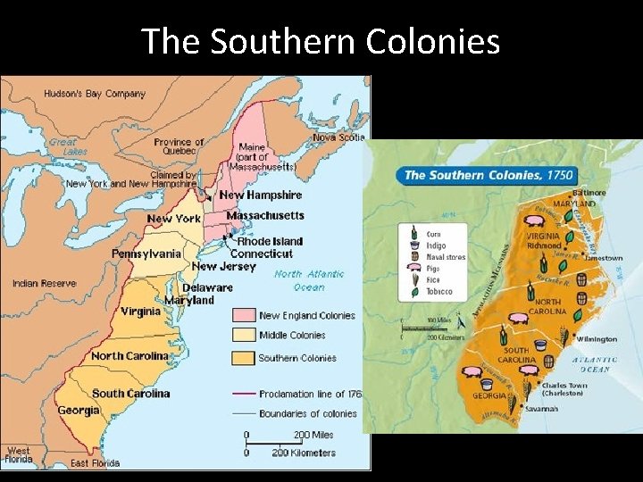 The Southern Colonies 