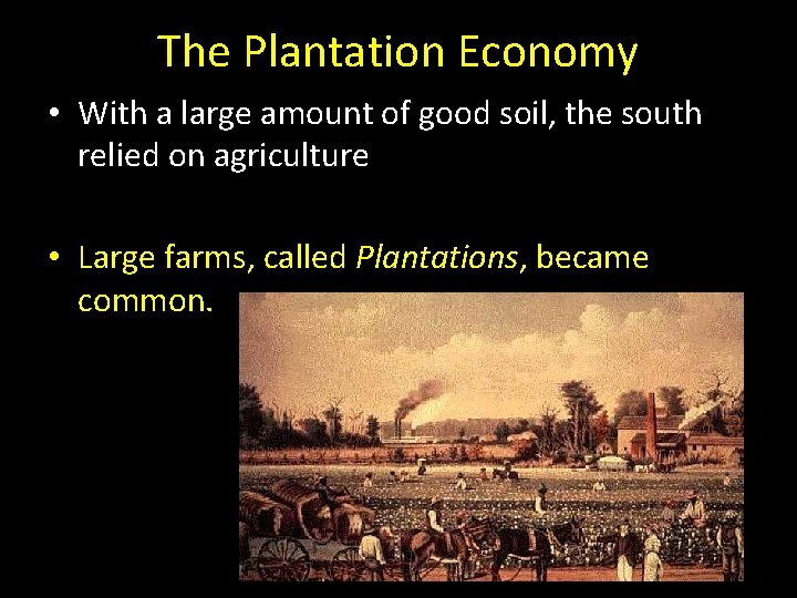 The Plantation Economy • With a large amount of good soil, the south relied