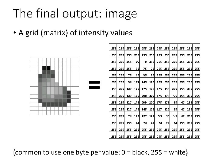 The final output: image • A grid (matrix) of intensity values 255 255 255