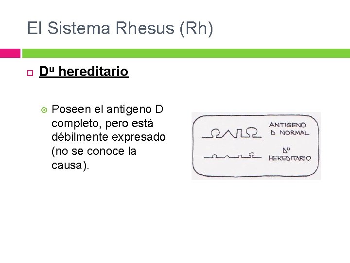 El Sistema Rhesus (Rh) Du hereditario Poseen el antígeno D completo, pero está débilmente El Sistema Rhesus (Rh) Du hereditario Poseen el antígeno D completo, pero está débilmente