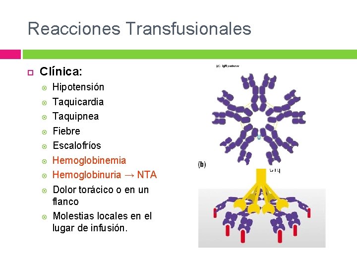 Reacciones Transfusionales Clínica: Hipotensión Taquicardia Taquipnea Fiebre Escalofríos Hemoglobinemia Hemoglobinuria → NTA Dolor torácico Reacciones Transfusionales Clínica: Hipotensión Taquicardia Taquipnea Fiebre Escalofríos Hemoglobinemia Hemoglobinuria → NTA Dolor torácico