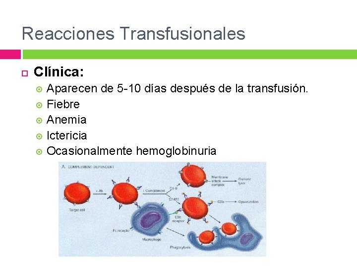 Reacciones Transfusionales Clínica: Aparecen de 5 -10 días después de la transfusión. Fiebre Anemia Reacciones Transfusionales Clínica: Aparecen de 5 -10 días después de la transfusión. Fiebre Anemia