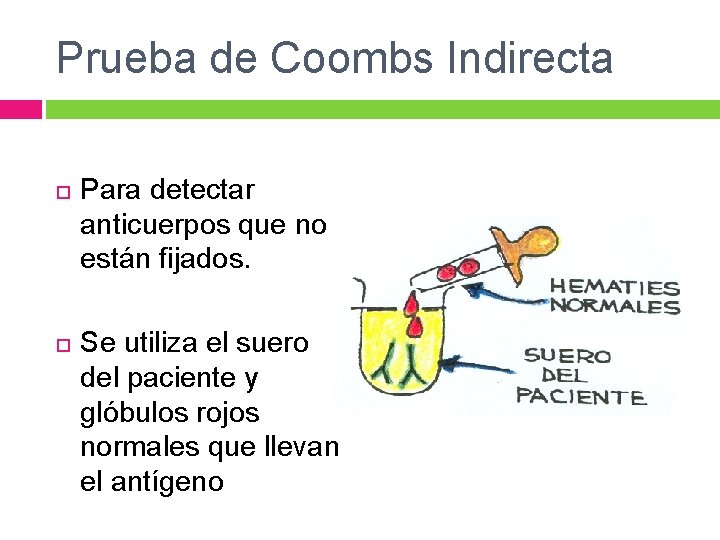 Prueba de Coombs Indirecta Para detectar anticuerpos que no están fijados. Se utiliza el Prueba de Coombs Indirecta Para detectar anticuerpos que no están fijados. Se utiliza el