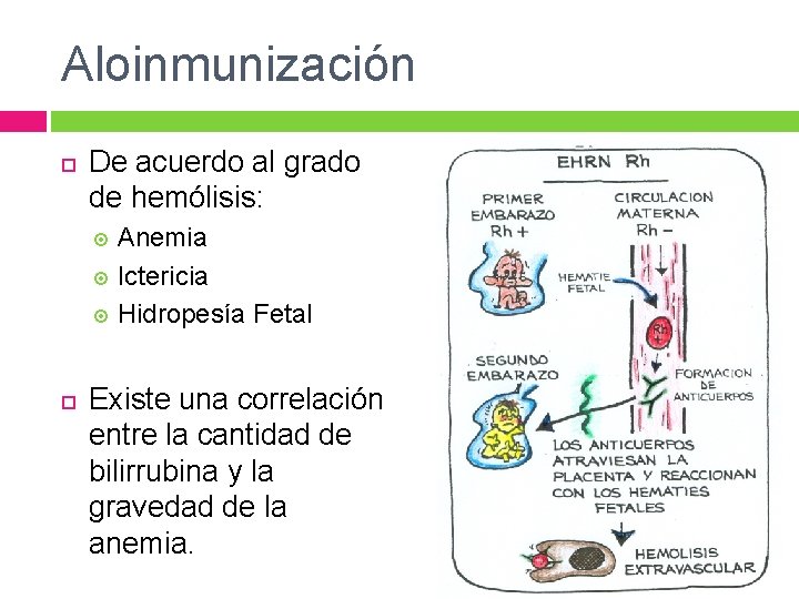 Aloinmunización De acuerdo al grado de hemólisis: Anemia Ictericia Hidropesía Fetal Existe una correlación Aloinmunización De acuerdo al grado de hemólisis: Anemia Ictericia Hidropesía Fetal Existe una correlación