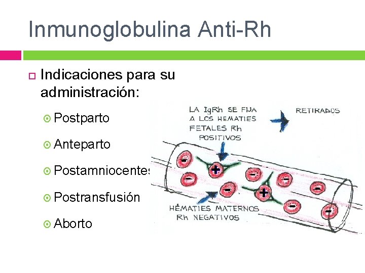 Inmunoglobulina Anti-Rh Indicaciones para su administración: Postparto Anteparto Postamniocentesis Postransfusión Aborto Inmunoglobulina Anti-Rh Indicaciones para su administración: Postparto Anteparto Postamniocentesis Postransfusión Aborto