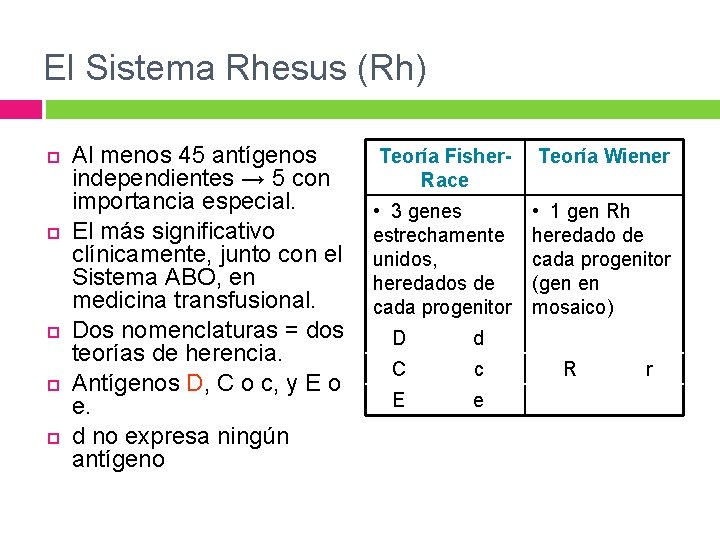 El Sistema Rhesus (Rh) Al menos 45 antígenos independientes → 5 con importancia especial. El Sistema Rhesus (Rh) Al menos 45 antígenos independientes → 5 con importancia especial.