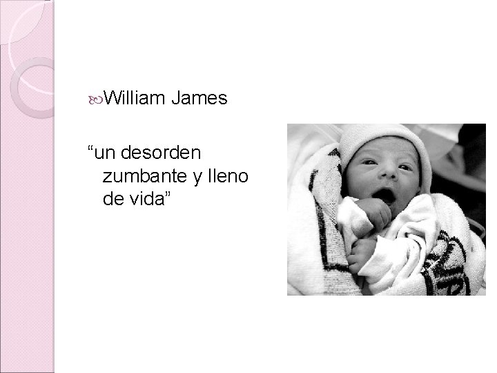 William James “un desorden zumbante y lleno de vida” William James “un desorden zumbante y lleno de vida”