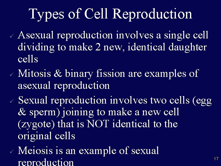 Types of Cell Reproduction ü ü Asexual reproduction involves a single cell dividing to