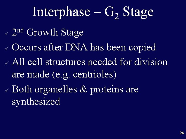 Interphase – G 2 Stage 2 nd Growth Stage ü Occurs after DNA has