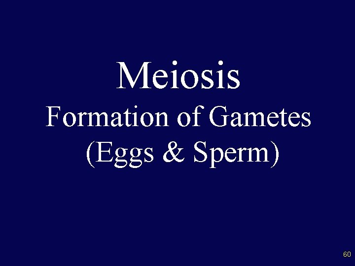 Meiosis Formation of Gametes (Eggs & Sperm) 60 