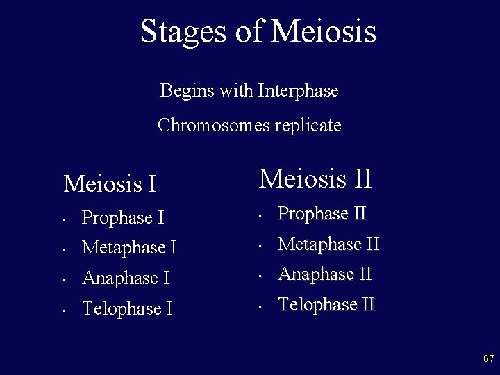 Stages of Meiosis Begins with Interphase Chromosomes replicate Meiosis II • Prophase II •