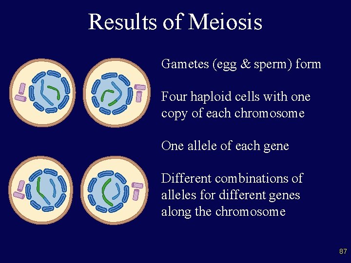Results of Meiosis Gametes (egg & sperm) form Four haploid cells with one copy
