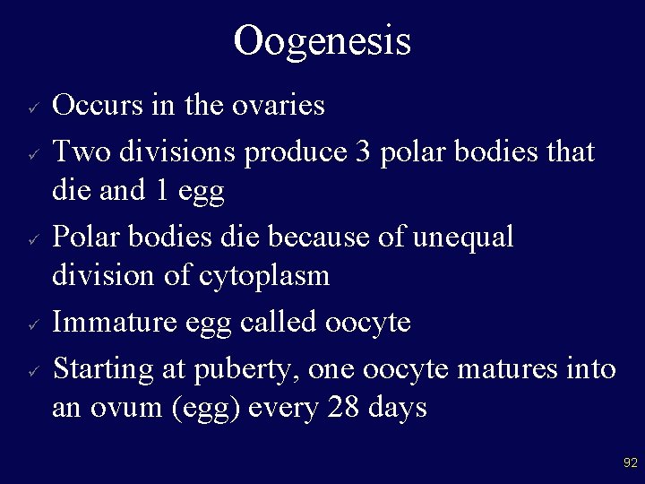 Oogenesis ü ü ü Occurs in the ovaries Two divisions produce 3 polar bodies