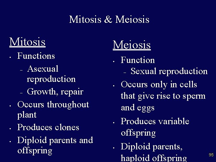 Mitosis & Meiosis Mitosis • • Functions – Asexual reproduction – Growth, repair Occurs