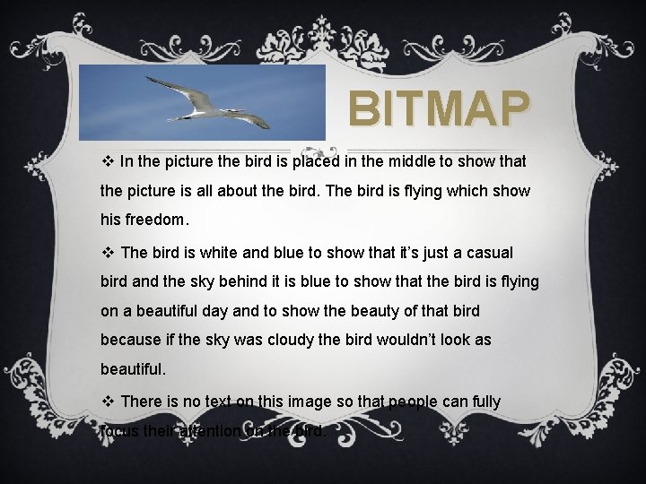 BITMAP v In the picture the bird is placed in the middle to show