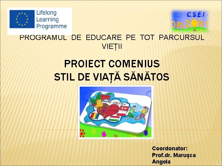 PROGRAMUL DE EDUCARE PE TOT PARCURSUL VIEȚII PROIECT COMENIUS STIL DE VIAȚĂ SĂNĂTOS Coordonator: