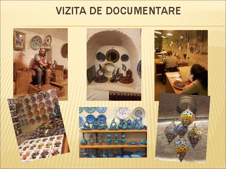 VIZITA DE DOCUMENTARE 